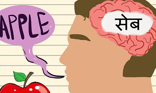 Can Bilingualism Cause Language Delay?